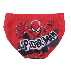 Costume SPIDERMAN