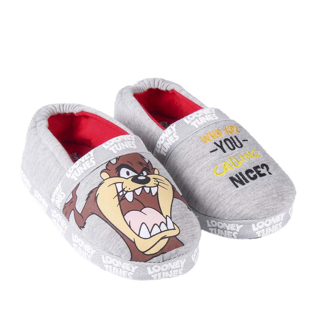 Tazmania Looney Tunes slippers 28/35