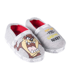 Tazmania Looney Tunes slippers 28/35